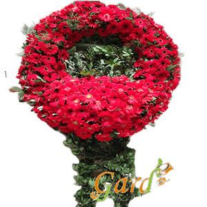 KIRMIZI GERBERA CENAZE ÇELENK